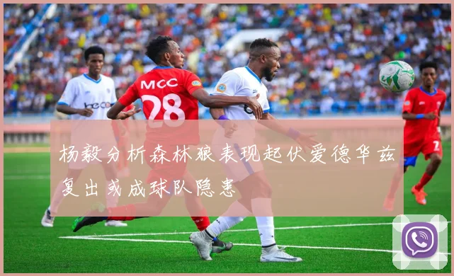 杨毅分析森林狼表现起伏爱德华兹复出或成球队隐患