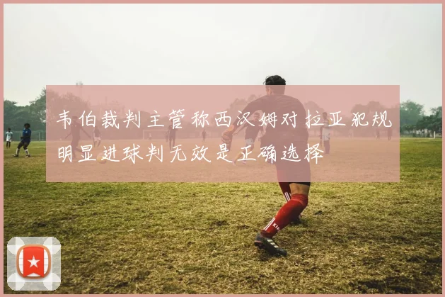 韦伯裁判主管称西汉姆对拉亚犯规明显进球判无效是正确选择